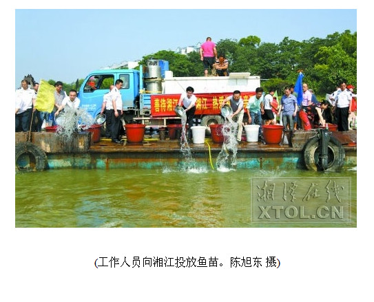 (工作人员向湘江投放鱼苗。陈旭东 摄)